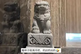 女子想转运花14元买2座石狮摆家门口，特写大景笑翻网友图片