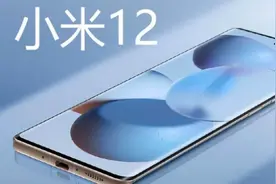 小米12怎么开启USB调试模式：在开发者模式中进行设置图片