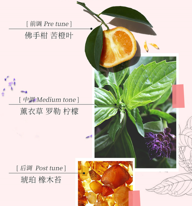 美白身体乳手工 美白身体乳手工