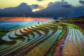 温铁军：中国凭什么能用世界7%土地养活世界21%人口？图片