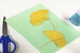 小叶子的手工课图片