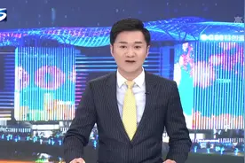 中国共产党上海市松江区第六届委员会第二次全体会议举行视频封面