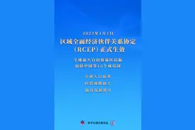 权威快报｜全球最大自由贸易区正式启航图片