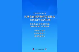 RCEP生效！全球最大自由贸易区正式启航图片