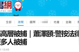 港警“一哥”：“立场新闻”一案，警方依法行事，不排除有更多人被拘捕图片