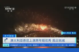 太美了！全球多地喜迎新年！烟花秀点燃城市夜空，戳视频→图片