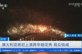 太美了！全球多地喜迎新年！烟花秀点燃城市夜空，戳视频→图片