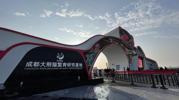 2022年1月1日,历经两年多的改造升级,成都大熊猫繁育研究基地扩建区