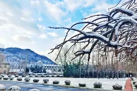 “学习强国”上的甘井子 |辽宁大连：雪后美景 粉妆玉砌图片