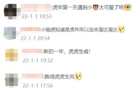 元旦兜风偶遇幼年东北虎？网友：虎年出来溜达溜达图片