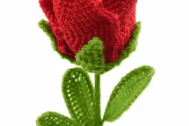 小叶子手工课 丨 冬奥会花束令人心动，亲手做个同款？图片