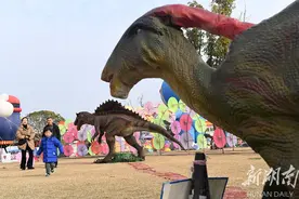 走进恐龙世界图片