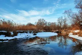 “举例子”除了for example外，还可以怎么说呢？图片