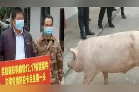 奖钱又奖猪，广西宁明奖励破获偷渡案件有功人员一头生猪视频封面