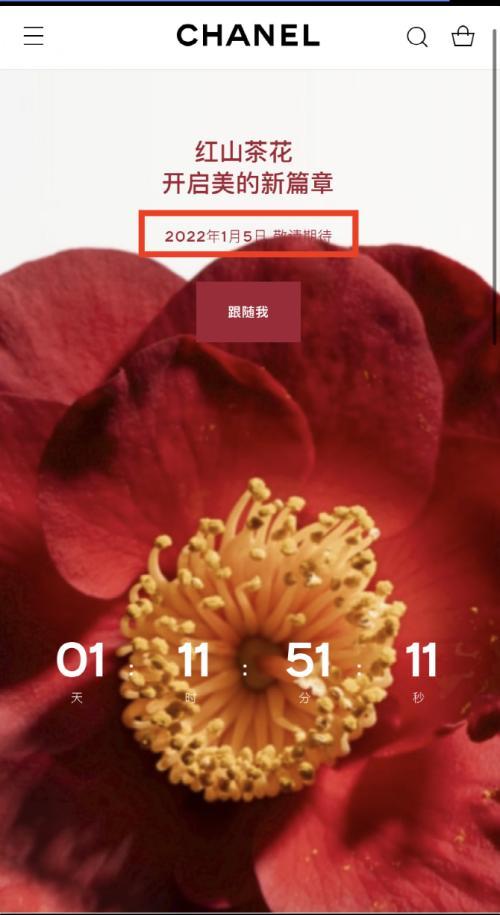 指责香奈儿不正当竞争！“国货之光”品牌创始人怒了