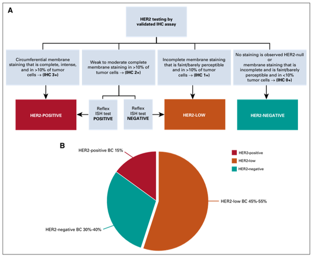 2021年度ADC药物十大关键词票选结果新鲜出炉