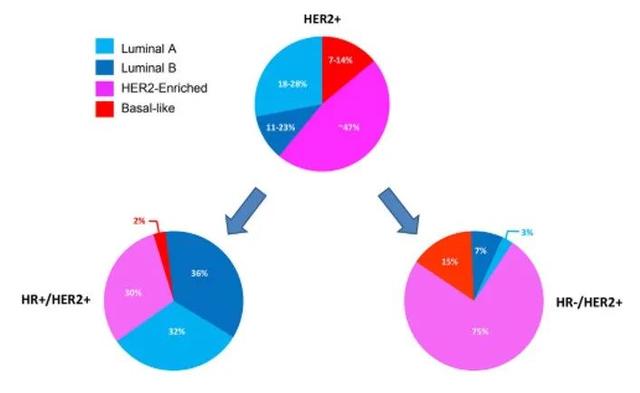 2021年度ADC药物十大关键词票选结果新鲜出炉