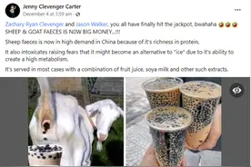 明查｜羊粪成大生意需求大增？搭配果汁、豆浆一起喝？图片