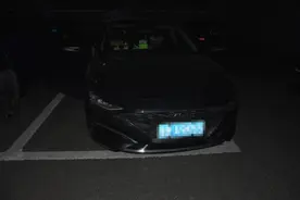 抓的就是你图片