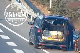 高速上狗晕车了，车主真是神操作图片