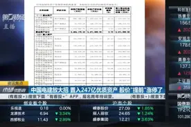 中国电建放大招 置入247亿优质资产 股价“提前”涨停了丨资讯焦点