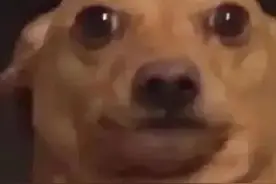 C1驾驶证能开什么车？看完就明白了图片