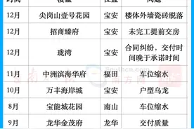 从“抢房”到“退房”，哪些楼盘被质疑“货不对板”？｜深圳楼市这一年②图片