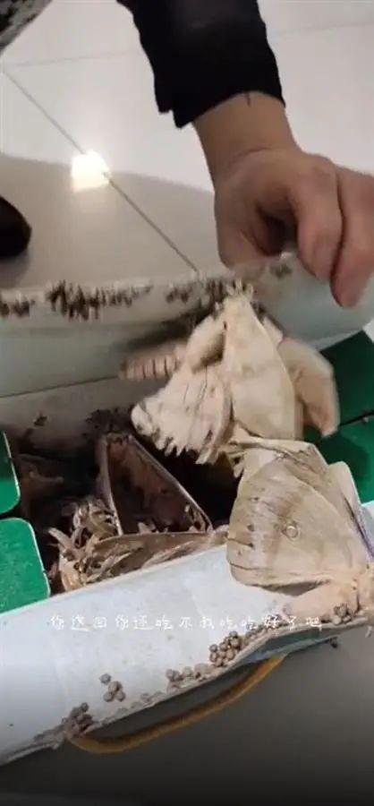 濂冲効閫佺殑铓曡浌鑰佹瘝浜茶垗涓嶅緱鍚冿紝涓€鏈堝悗寮€绠卞叏鍙橀铔? onerror=