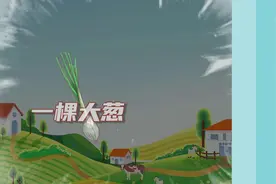 生长周期长达13个月！这种大葱不一般，长度可超两米→