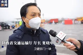 陕西积压邮件有序出库，全力保障物流通畅图片