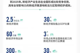 成都新经济“十四五”规划来了：布局32个新赛道，2025年新经济增加值占GDP比重达30%以上图片