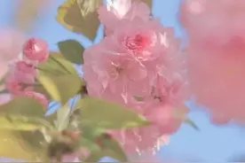 湖工大，是什么色号？图片