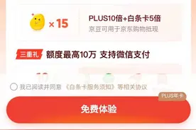 “花呗”“借呗”整改进行时 京东“白条”改为“白条信用卡”图片