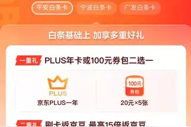 “花呗”“借呗”整改进行时 京东“白条”改为“白条信用卡”图片