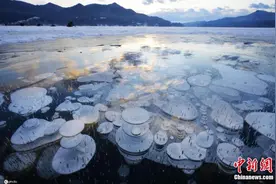美得冒泡！日本北海道糠平湖现“冰冻气泡”奇观图片