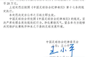 大连人全队被罚83万！杨浩宇因打裁判停赛一年图片
