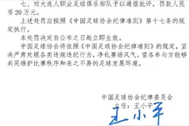 快评：绿茵权威不容挑战，大连人将士围殴裁判被罚83万元，纯属咎由自取？图片