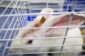 中国免开颅脑机接口获近亿元投资，但消费级商业化可能还得等十年图片