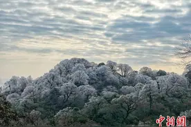 广西北部深山出现一片彩色雪原图片