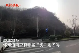 虎年将至，快来打卡南京这些“虎”地名吧图片