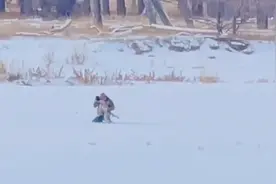 美国一只狗狗在雪中走失7天后与主人重聚图片