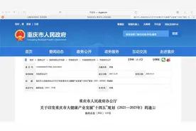 西部生命芯谷、世界温泉之都……重庆发布大健康产业发展“十四五”规划图片