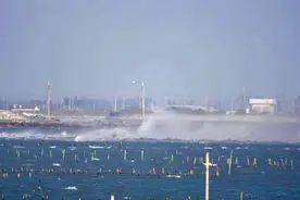 台军方F16V战机坠海影像首度曝光 下落时激起大量水花图片
