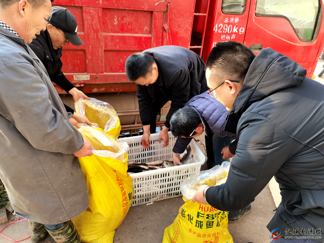 放养优化（复兴镇推进鱼苗增殖放养 改善水域生态环境）