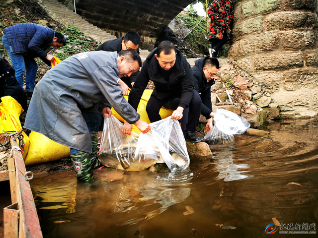 复兴镇：推进鱼苗增殖放养 改善水域生态环境