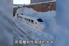 火遍全网！“冻车”大爷圆梦了图片