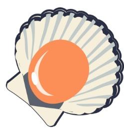 肉质鲜美的扇贝里藏着哪些营养？真相来了