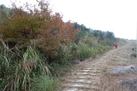 福建北驿道：层峦叠嶂，跬步皆山图片