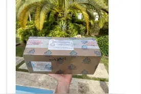 350万美元宝可梦卡牌被证实是假货！购买者：F**K图片