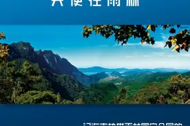 天使在雨林——记海南热带雨林国家公园的守护者们图片